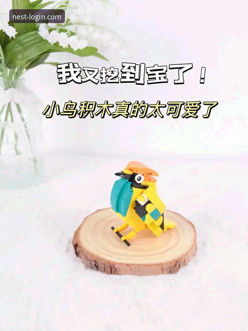 小鸟平台娱乐世界 小鸟平台娱乐世界2026新版实用指南:从登录到畅玩的完整攻略
