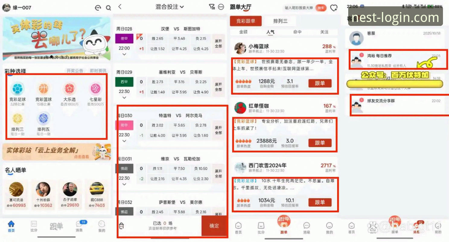 资深用户分享：从火箭大胜看小鸟平台网页登录体验的独特价值